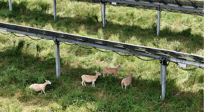 乐投·LETOU(中文)体育官方网站