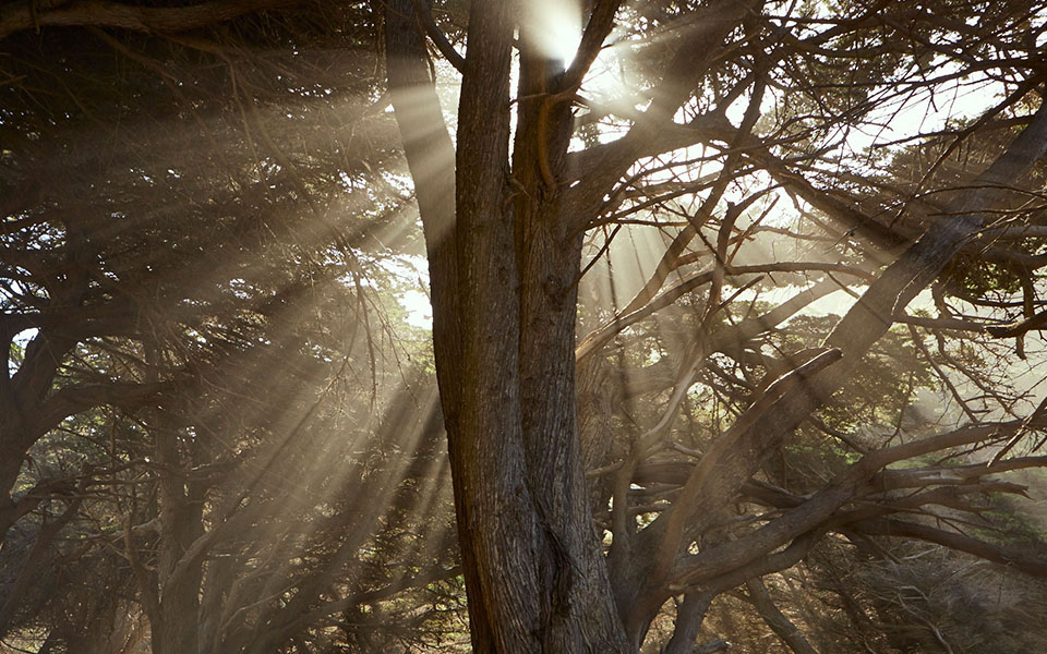 乐投·LETOU(中文)体育官方网站