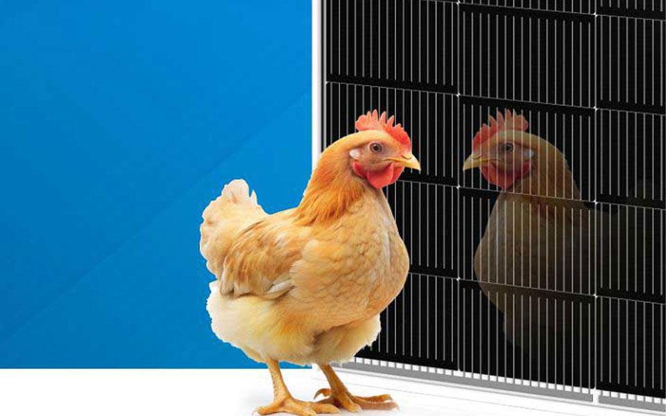 乐投·LETOU(中文)体育官方网站