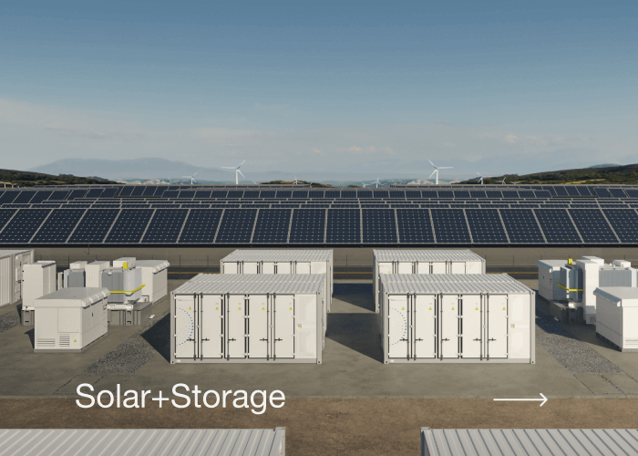 乐投·LETOU(中文)体育官方网站